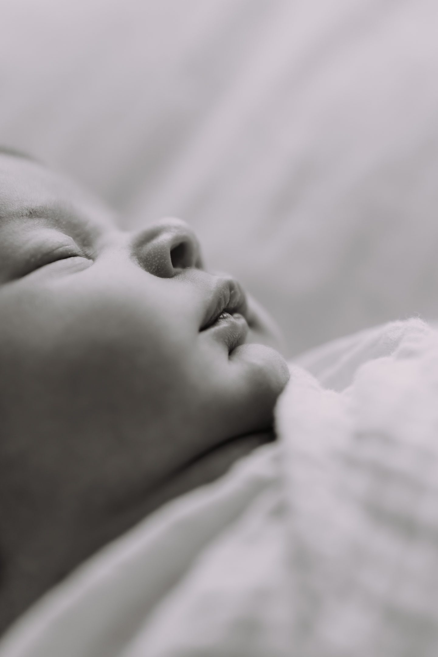 0H4A9222-2
